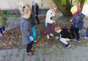 Zdjęcie przedstawia dzieci z grupy IV porządkujące teren ogrodu przedszkola.